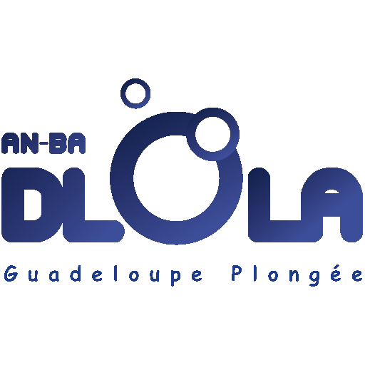 An Ba Dlo La - Plongée Guadeloupe