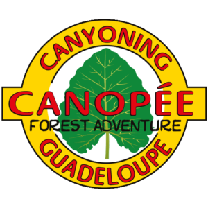 Canopée Guadeloupe