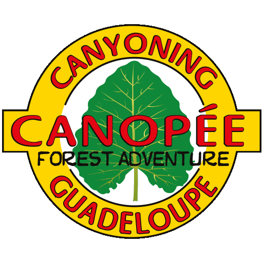 Canopée Guadeloupe