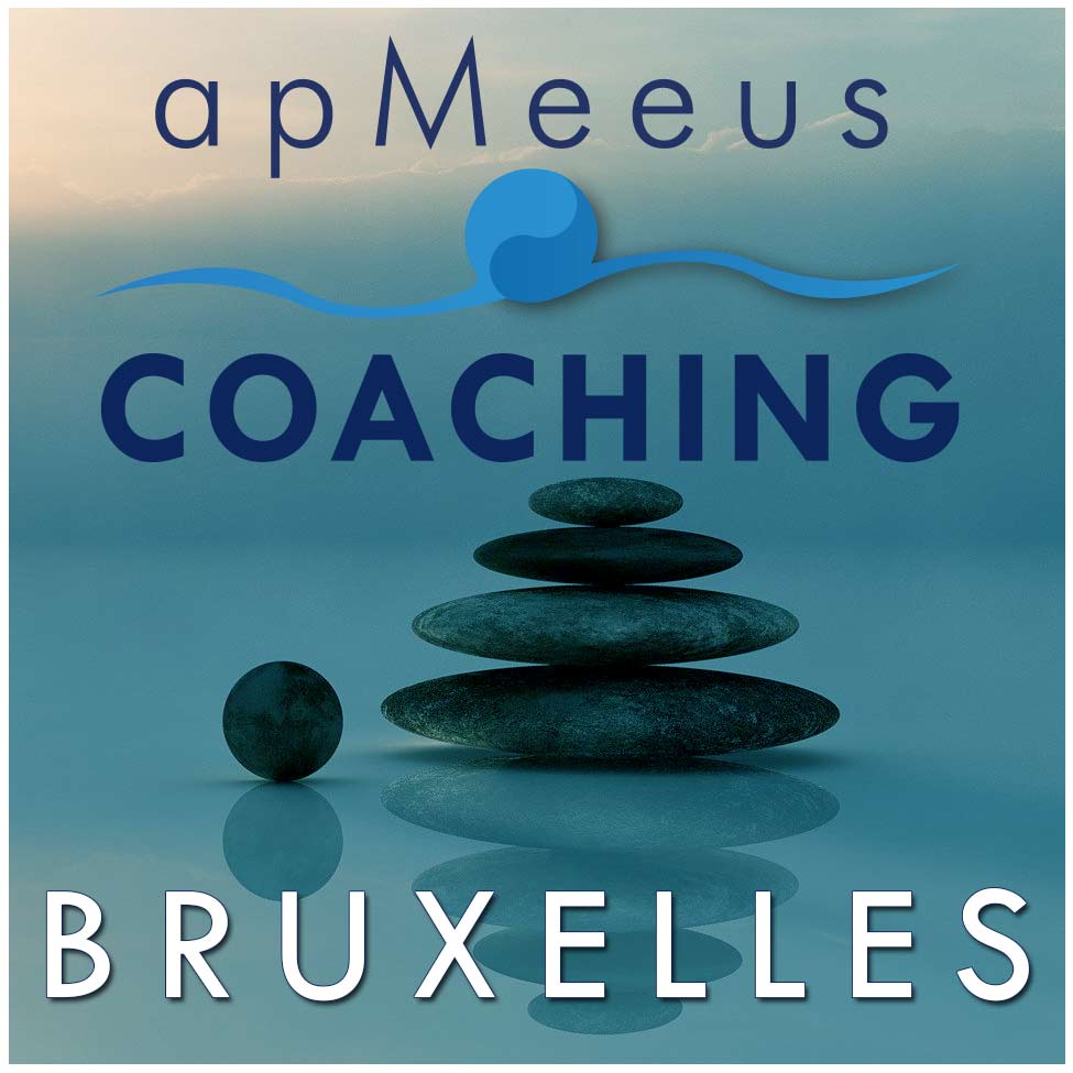AP Meeus Coaching