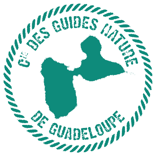 Compagnie des Guides Nature de Guadeloupe LOGO