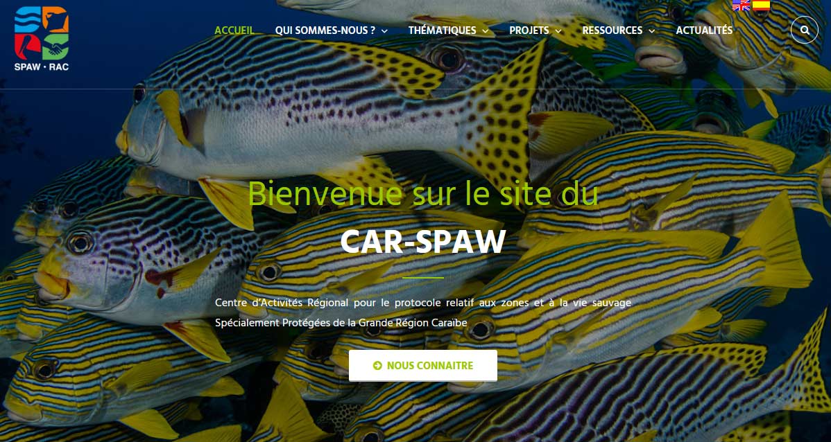 Spaw Rac - Deal Guadeloupe