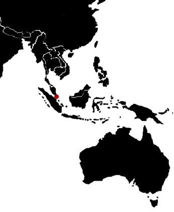 Singapour, Malaisie, Asie