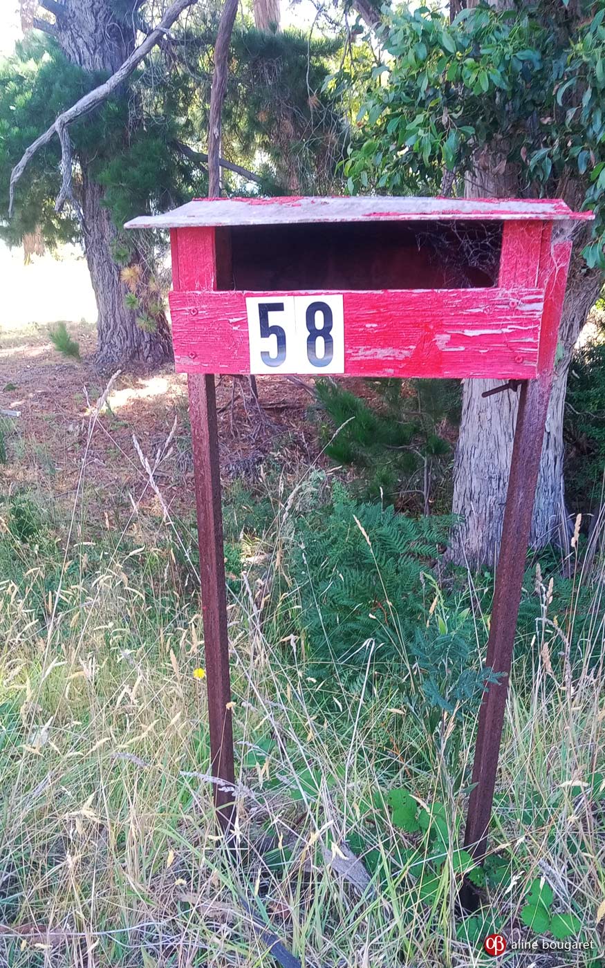 Tasmania mailbox