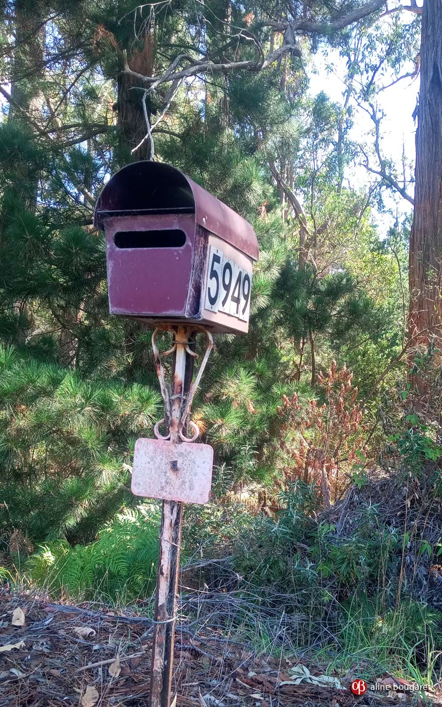 Tasmania mailbox