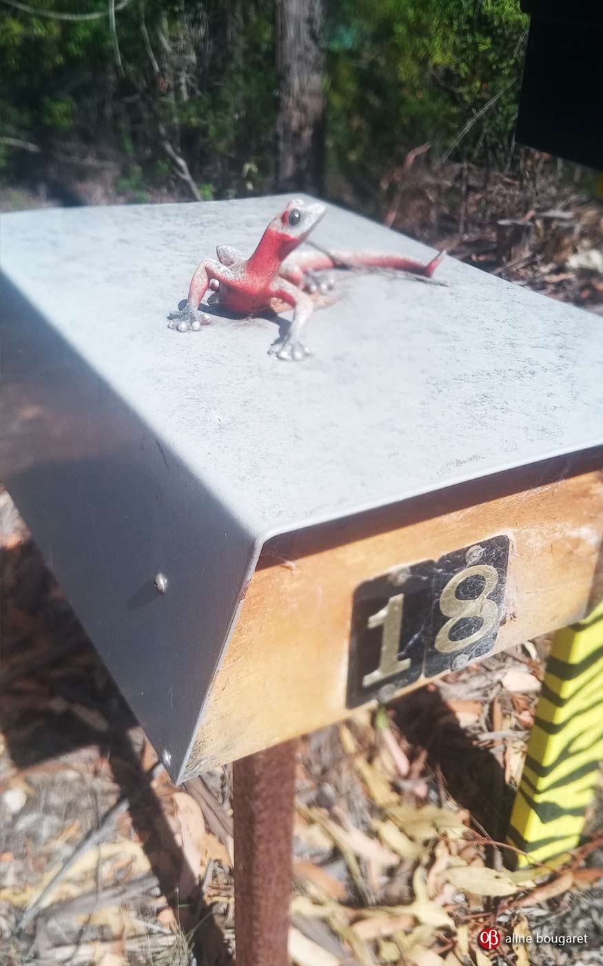Tasmania mailbox