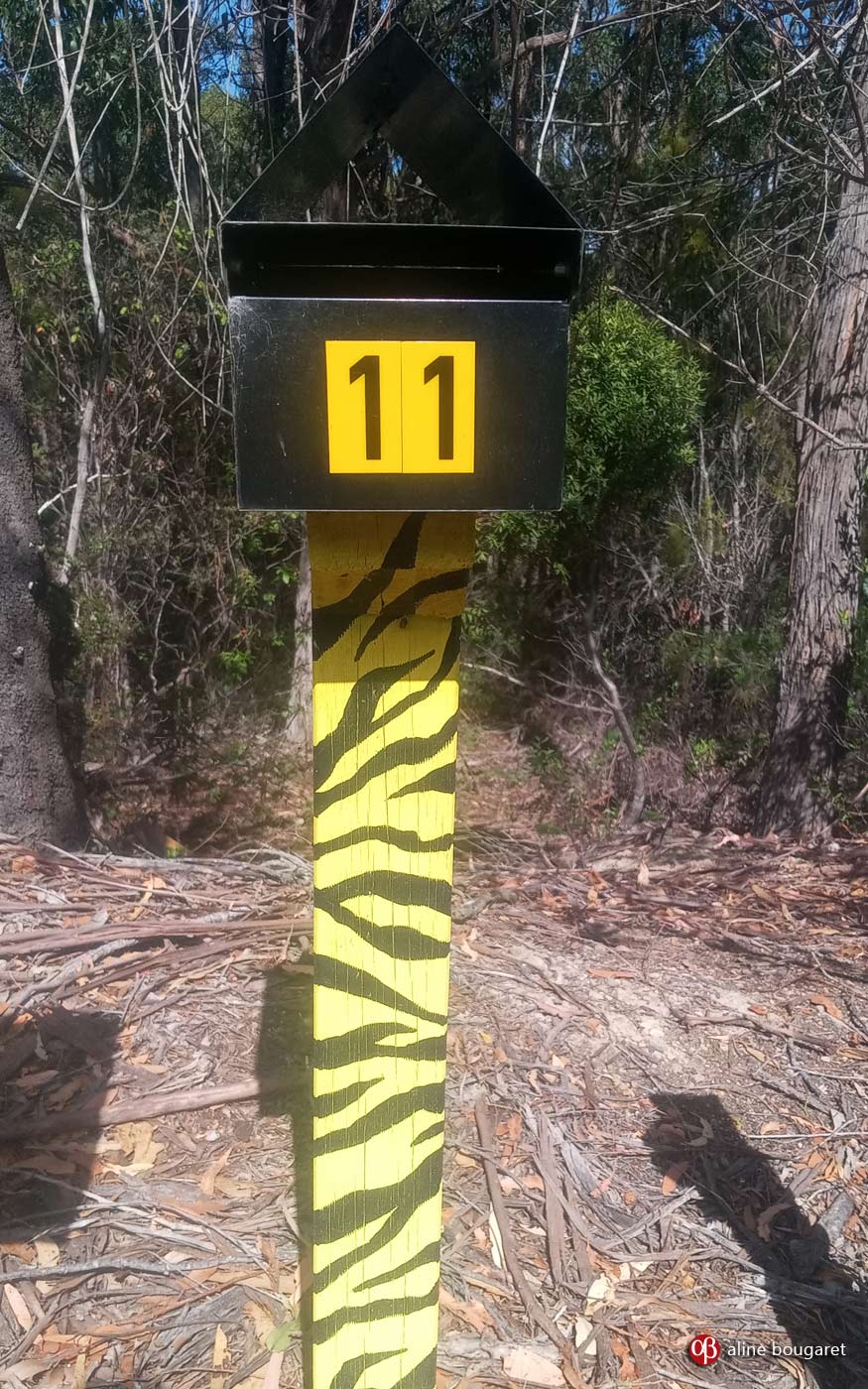 Tasmania mailbox