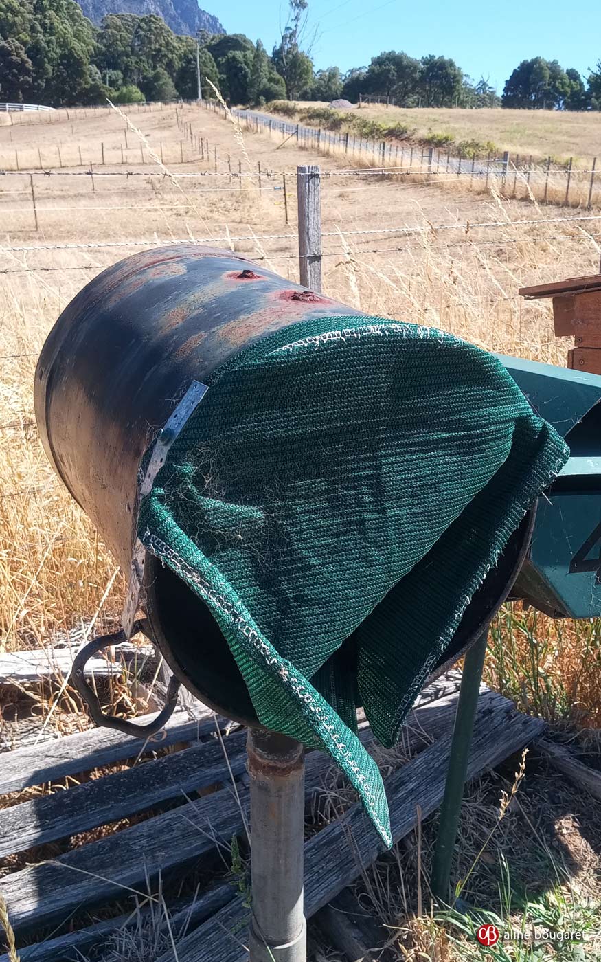 Tasmania mailbox