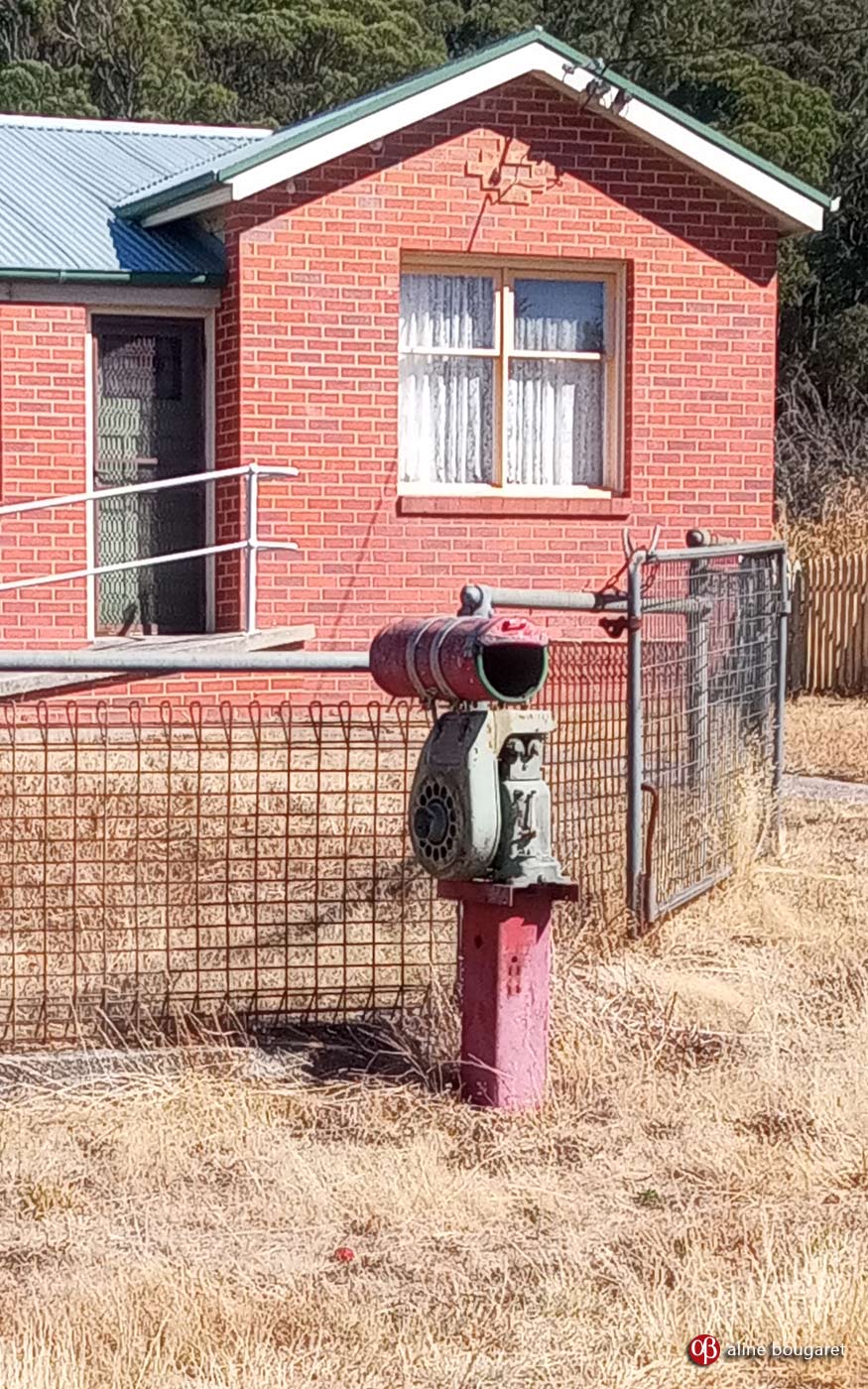 Tasmania mailbox