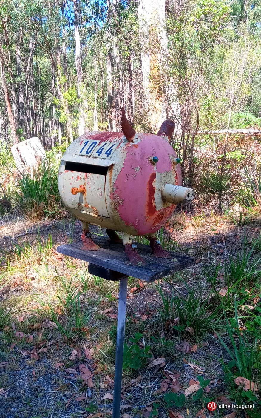 Tasmania mailbox