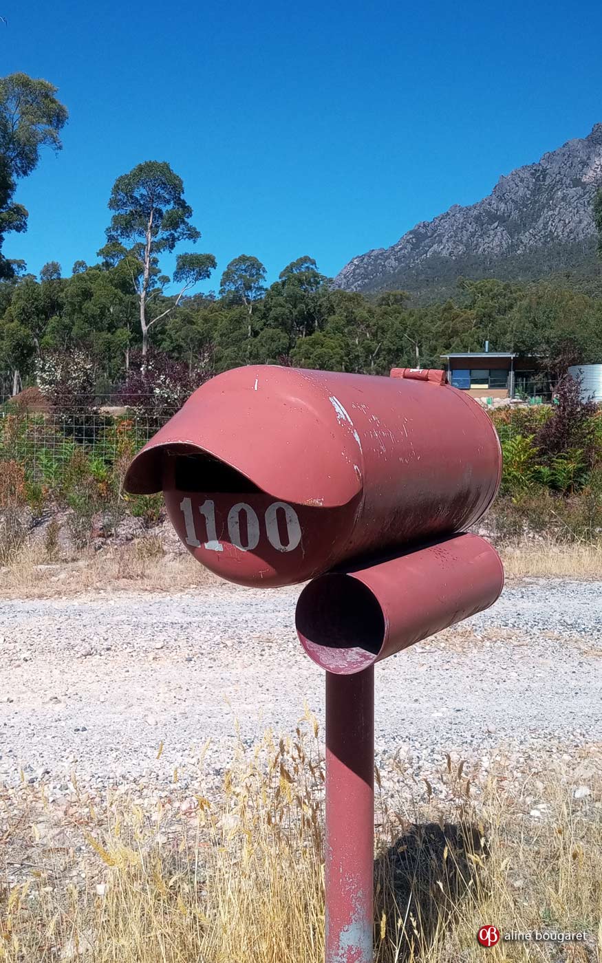 Tasmania mailbox