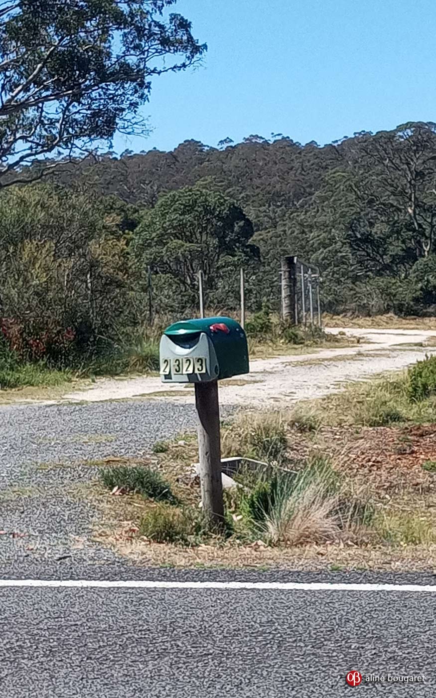 Tasmania mailbox