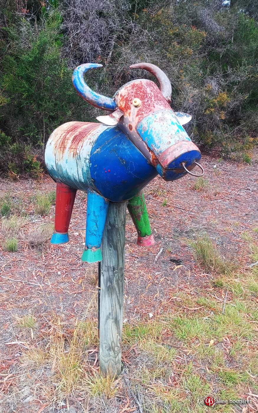 Tasmania mailbox