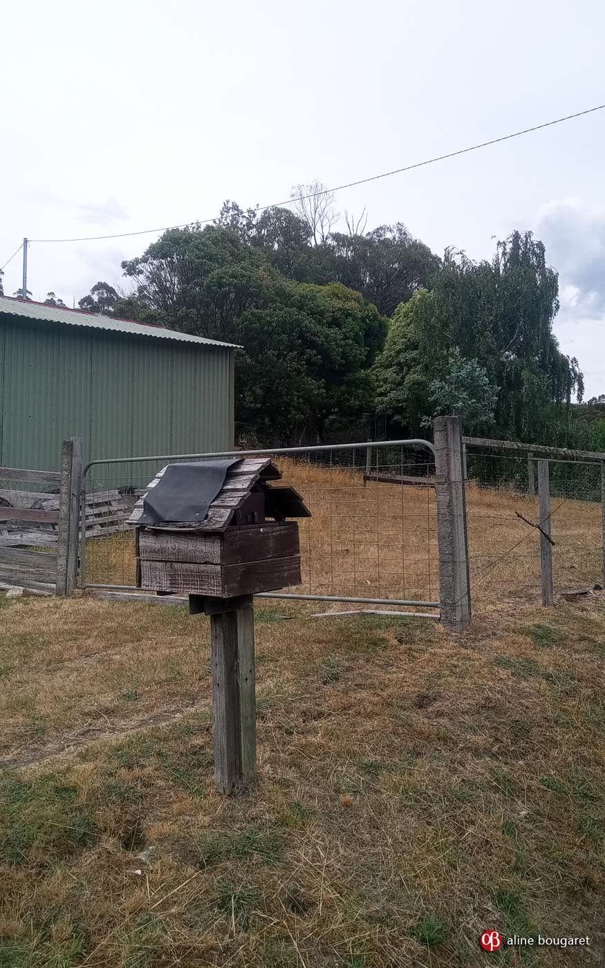 Tasmania mailbox