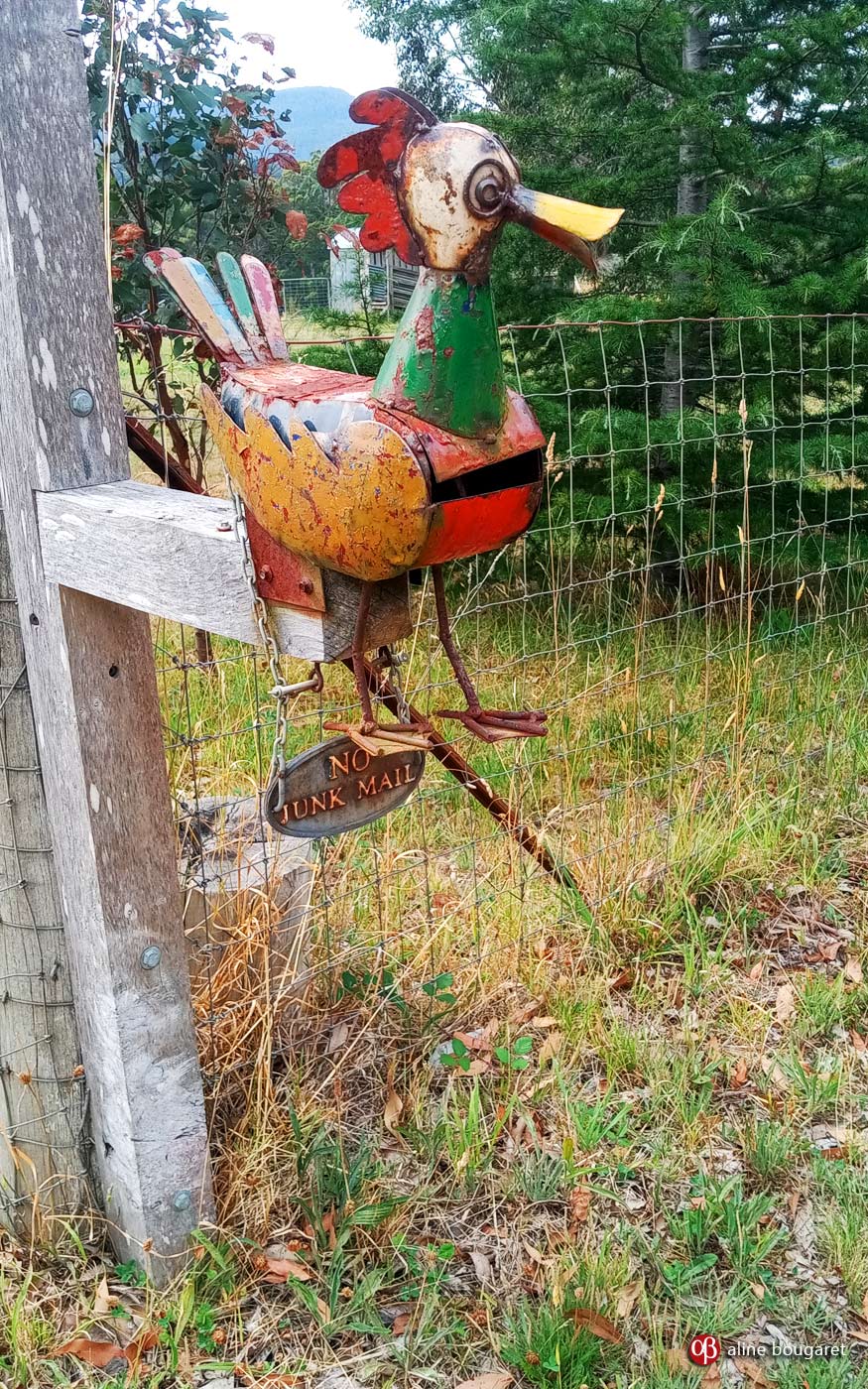Tasmania mailbox