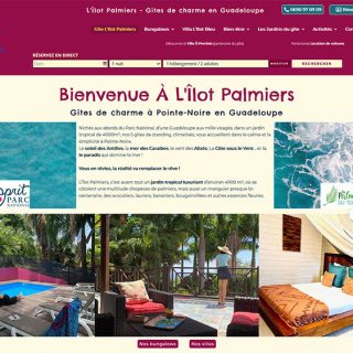 Site Internet L'Ilot Palmiers
