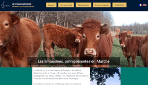 Site HTML