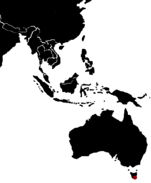 Tasmanie, Australie, Asie
