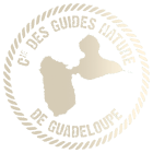 Compagnie des Guides Nature de Guadeloupe LOGO